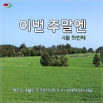 [카드뉴스-이번 주말엔] 4월 제주가 품은 이야기