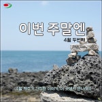 [카드뉴스-이번 주말엔] 제주의 봄을 만나다