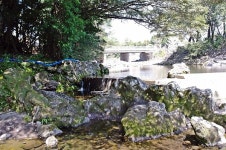 천연림과 함께 효돈을 지키는 산도록한 산물