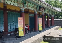 불로초 전설 서복전시관에서 제주 전통차 즐기자