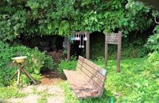 사자가 지키는 마을의 왕이 된 큰 산물