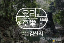 서귀포 감산리 마을 요리(里)보고 조리(里)보고