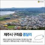 제주 동쪽 끝 종달리 마을을 요리보고 조리보고
