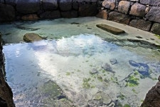 갯것할망을 지킨 차디찬 산물