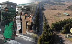 생태도로 표방한 비자림로 확장? 교묘한 꼼수일 뿐