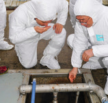 양돈 축산분뇨 불법 배출 더 강력한 처분 내린다