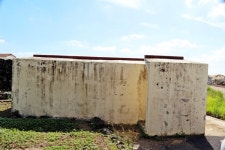 해와 달 기운으로 물의 숲을 만든 산물