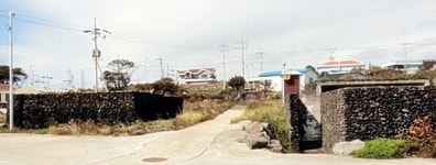 해와 달 기운으로 물의 숲을 만든 산물