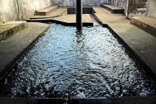 해와 달 기운으로 물의 숲을 만든 산물