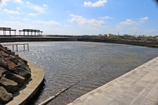 해와 달 기운으로 물의 숲을 만든 산물