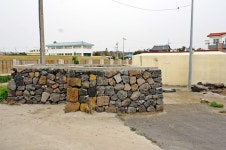 해와 달 기운으로 물의 숲을 만든 산물