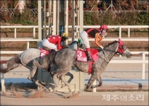 제주 최우수 경주마 생산목장은 리드머니 태명목장