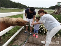 렛츠런파크 제주에서 마(馬)랑 힐링투어