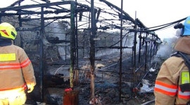 제주 애월 양계장 화재, 토종닭 500여마리 폐사