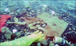 청정제주 어쩌다가...정방폭포.문섬 앞바다 쓰레기 몸살