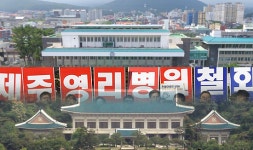 영리병원 허가 취소, 그리고 정부의 원죄