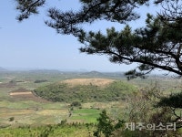 다랑쉬 오름을 오르며