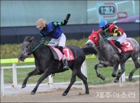 3세 제주마 최강은? 제주마 더비 경주 15일 개막