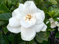 개성의 유행을 쫒지 말고 나를 보기