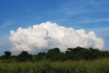 [포토] 장맛비 물러가고 쾌청한 제주하늘 뭉게구름