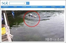 태풍 지나자 제주 한라산 산정호수서 수영 추태