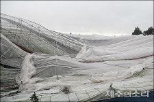 태풍이 할퀴고 간 제주...시설물 복구 작업 본격화