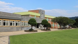 제주 선흘2리 고향방문 환영은 없고 이장해임 현수막만 을씨년