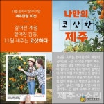 늦가을 11월, 제주를 제대로 즐길 관광 10선은?