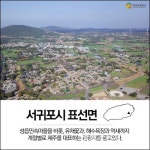 주민이 추천하는 제주 표선 관광 명소 7곳 어디?