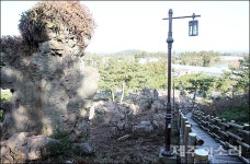 제주 도시공원 시한폭탄...한라수목원만 1000억원