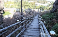 제주 도시공원 시한폭탄...한라수목원만 1000억원