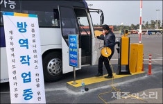 신종 코로나에 도로가 뚫렸다? 제주 렌터카 업계는 끙끙