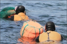 제주해녀와 돌고래 공존의 실험...전국 첫 음파회피 실험 관심