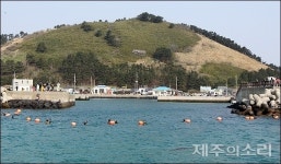 제주 비양도 해녀 시위 결국 업무방해 혐의 고발 당해