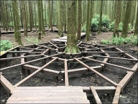 서귀포시, 사려니숲 무장애나눔길 조성 앞장선다