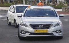 저한테 파세요 제주 개인택시면허 1억2000만원 최고가