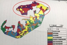 2단계 사업 앞둔 제주영어교육도시...곶자왈 파괴 논란 재점화