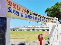 코로나 2차 감염에 제주 한림읍 거리 휑…이게 무슨 날벼락?