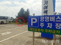 제주 버스 회차지에 가득한 쓰레기 좀 치워주세요!