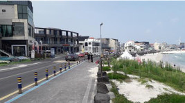 부동산 개발 광풍에 사라지는 제주 월정리 해안사구