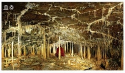 카페, 택지개발로 원형 사라져버린 제주 월정리