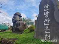 제주 대정·안덕, 한달 내내 코로나 직격탄 텅빈 거리에 한숨만