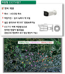 제주감귤 도둑 잡아라 남원읍 일대 CCTV 27개 설치