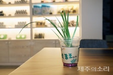 제주인 강인함 닮은 석창포로 6차산업 일구겠다