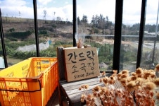 피고 지는 희비 속, 제주 소극장들은 오늘도 살아있다