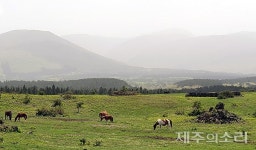 청명 하루 앞두고 뿌옇게 변한 제주 미세먼지주의보
