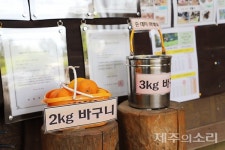 20년 전 문득 깨달은 6차산업…최남단 체험농장 결실