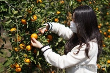 20년 전 문득 깨달은 6차산업…최남단 체험농장 결실