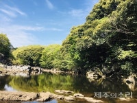 천미천 정비사업 재고되어야 한다