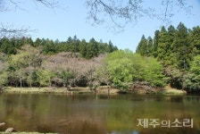 천미천 정비사업 재고되어야 한다